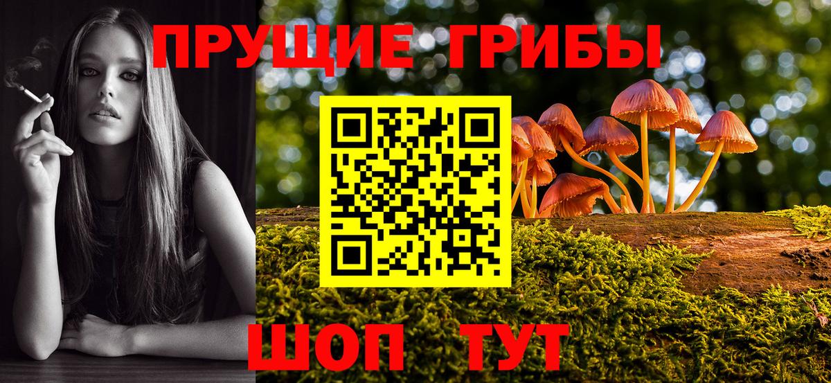 Галлюциногенные грибы MAGIC MUSHROOMS  Псилоцибиновые грибы Psilocybine cubensis  Вход с VPN  Татарск 